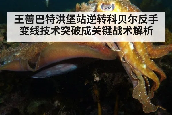 王蔷巴特洪堡站逆转科贝尔反手变线技术突破成关键战术解析